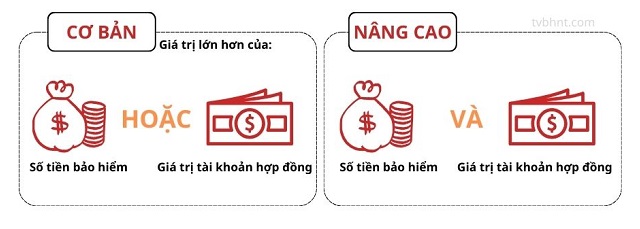 Quyền lợi bảo vệ cơ bản và nâng cao