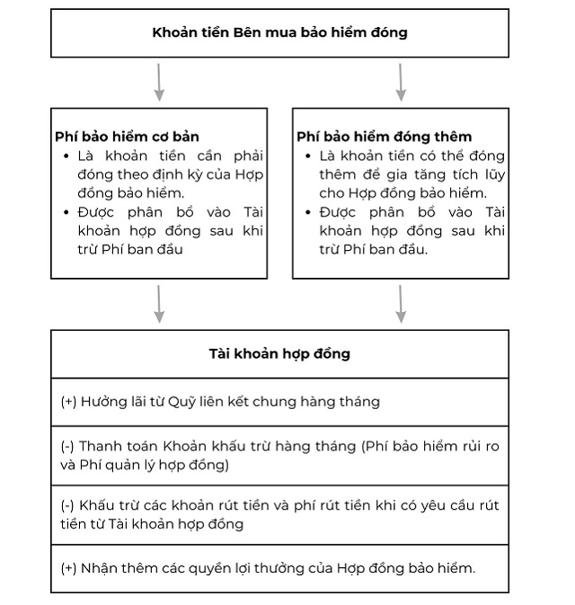 Tài khoản hợp đồng bảo hiểm liên kết chung được hình thành như thế nào