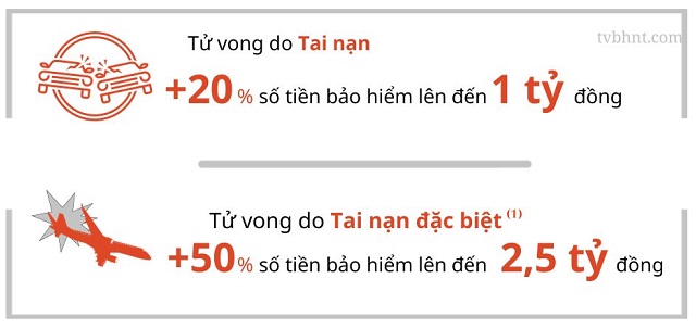 Tử vong do tai nạn